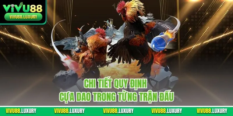 Chi tiết quy định cựa dao trong từng trận đấu