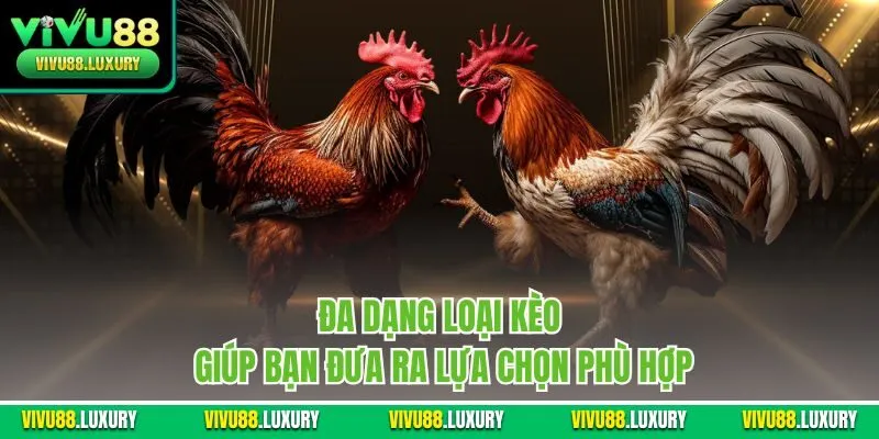 Đa dạng loại kèo giúp bạn đưa ra lựa chọn phù hợp